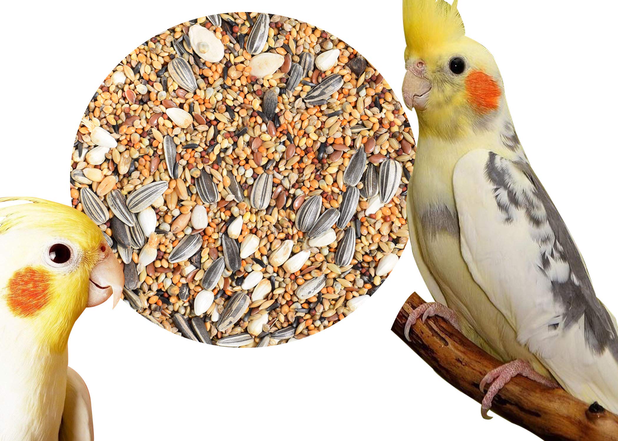 Seed mix For Cockatiels 1 kg